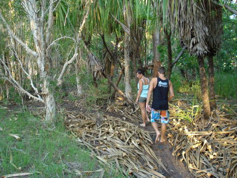 Berry Creek Bush Retreat - Whitsundays Accommodation 7