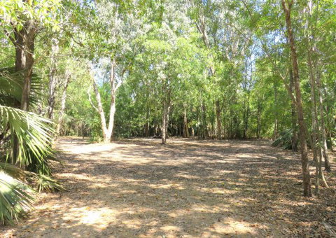 Bitter Springs Cabins And Camping - Whitsundays Accommodation 5