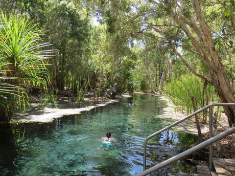 Bitter Springs Cabins And Camping - Whitsundays Accommodation 6