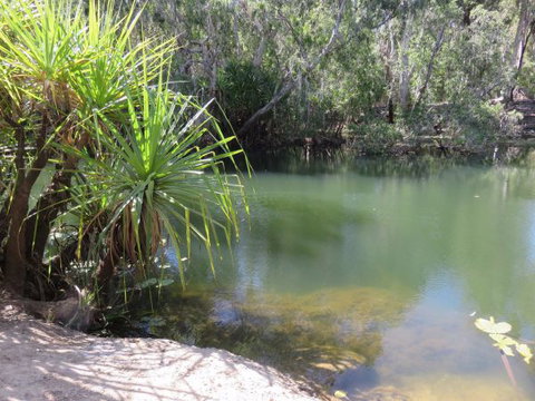 Bitter Springs Cabins And Camping - Whitsundays Accommodation 7