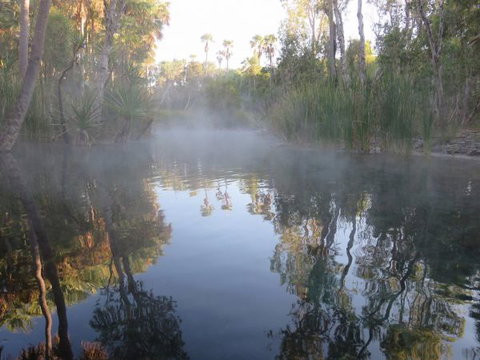 Bitter Springs Cabins And Camping - Whitsundays Accommodation 8