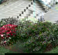 Jenolan Caravan Park - Whitsundays Accommodation