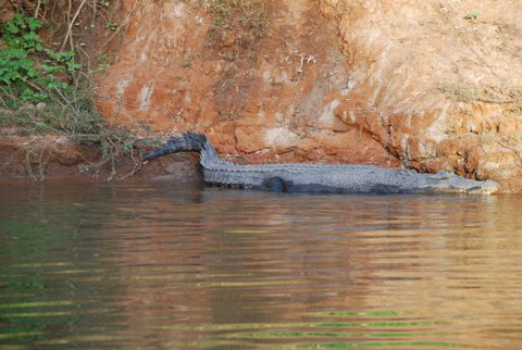 Mount Nancar Wilderness Retreat - Whitsundays Accommodation 3