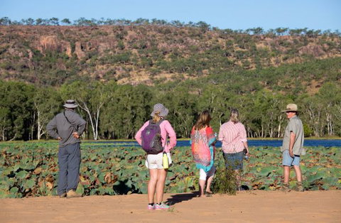 Mount Nancar Wilderness Retreat - Whitsundays Accommodation 5
