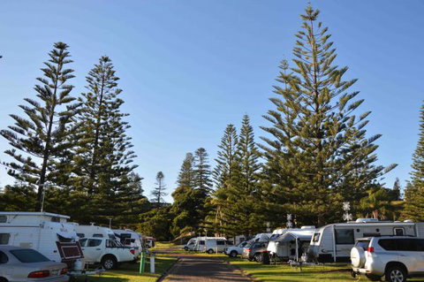 NRMA Port Macquarie Breakwall Holiday Park - Whitsundays Accommodation 5