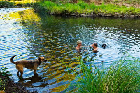Terania Green Boutique Eco Cottages - Whitsundays Accommodation 4