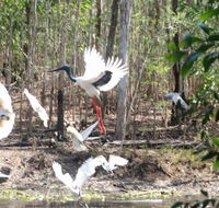 Rakhi Retreat - Whitsundays Accommodation