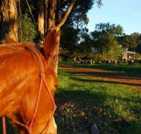 Billa Billa Farm Cottages - Whitsundays Accommodation