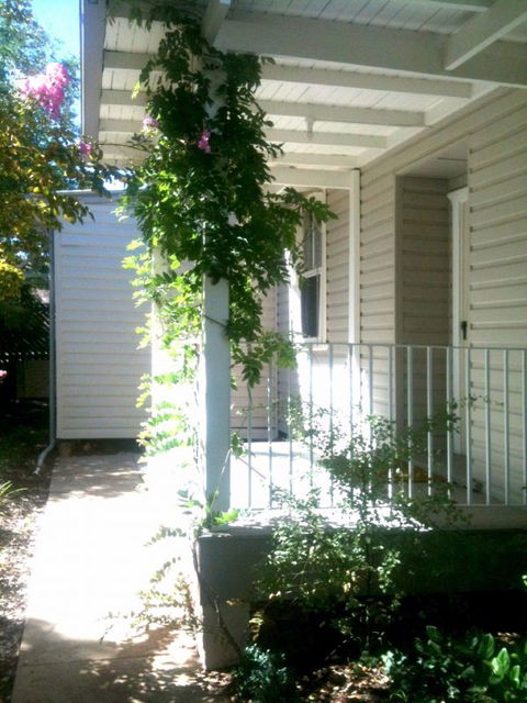 Wisteria Cottage - Whitsundays Accommodation 0