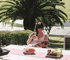 Sunny Hill Retreat Accommodation & Day Spa - Whitsundays Accommodation 4