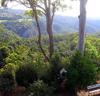 Mt Tamborine Motel - Whitsundays Accommodation