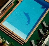 Pacific International Hotel - Whitsundays Accommodation