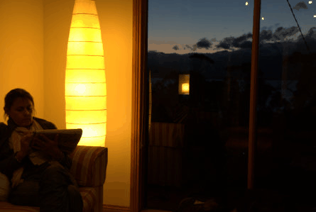 The Tree House - Whitsundays Accommodation 2