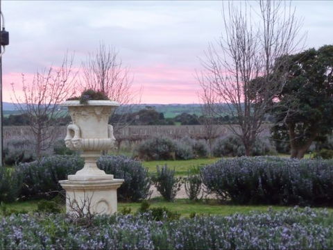 Angas Plains Estate Wines Heritage Suite - Whitsundays Accommodation 4
