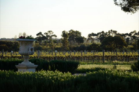 Angas Plains Estate Wines Heritage Suite - Whitsundays Accommodation 6