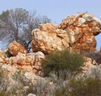 Credo Homestead Camp at Credo Conservation Park - Whitsundays Accommodation