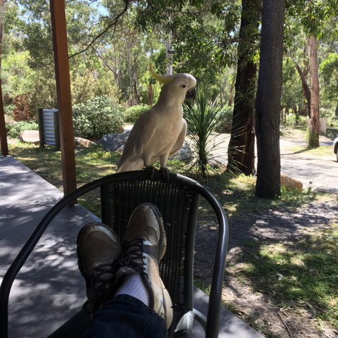 Gang Gang Villas - Whitsundays Accommodation 2