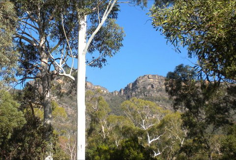 Gang Gang Villas - Whitsundays Accommodation 4