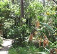 Dunns Creek Downs Nature Stay - Whitsundays Accommodation