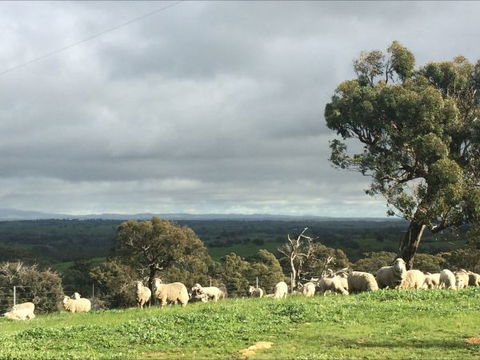 Heathcote Views Bed & Breakfast - Whitsundays Accommodation 5