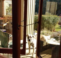 Mara Ponds Branxholm - Whitsundays Accommodation