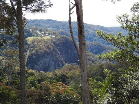 Mt Tamborine Motel - Whitsundays Accommodation 0