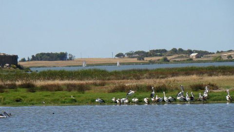 Peppertree Cottage - Whitsundays Accommodation 3