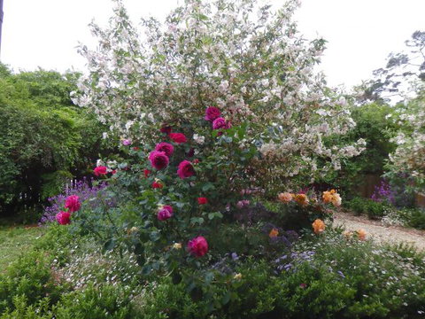 Quartz Cottage - Whitsundays Accommodation 8