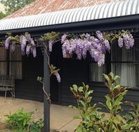 The Gold House - Whitsundays Accommodation