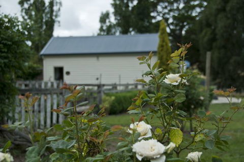 Wood Duck Cottages - Whitsundays Accommodation 5