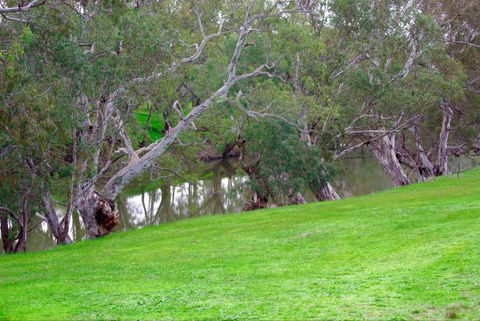 Yalooka Farm - Whitsundays Accommodation 4