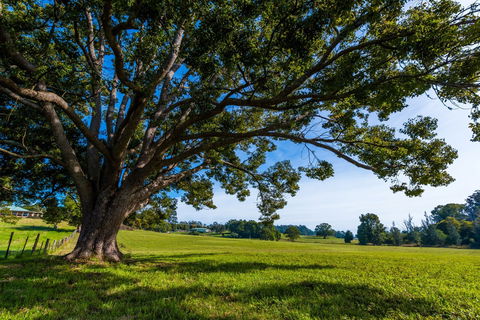 All About Me Bed And Breakfast - Whitsundays Accommodation 8