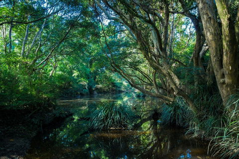 All About Me Bed And Breakfast - Whitsundays Accommodation 9