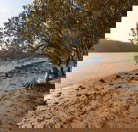 Beach campground - Whitsundays Accommodation