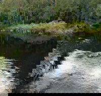 Cod Hole campground and picnic area - Whitsundays Accommodation