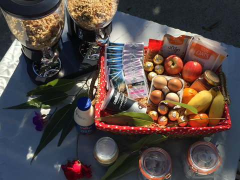 Fig Tree Retro Studio - Whitsundays Accommodation 2