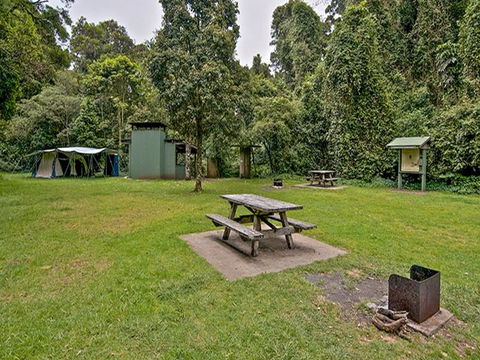 Forest Tops Campground - Whitsundays Accommodation 0
