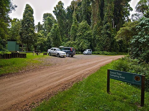 Forest Tops Campground - Whitsundays Accommodation 1