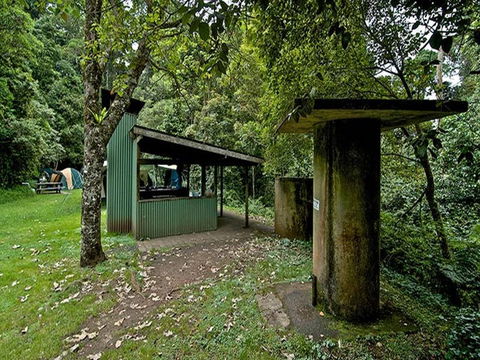 Forest Tops Campground - Whitsundays Accommodation 3