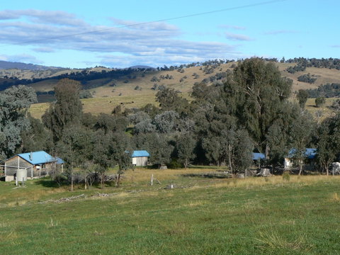 Gaddleen Grove Cottages - Whitsundays Accommodation 7
