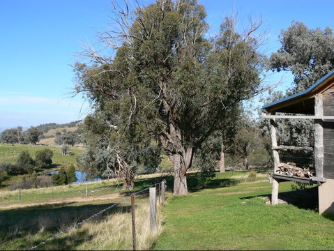 Gaddleen Grove Cottages - Whitsundays Accommodation 9