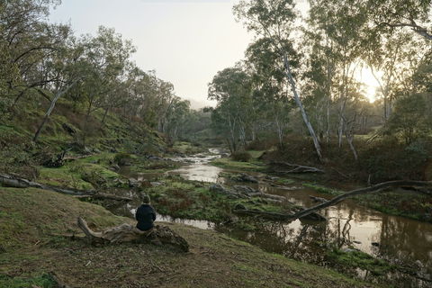 Highfield Farm And Woodland Bush Campsites - Whitsundays Accommodation 2