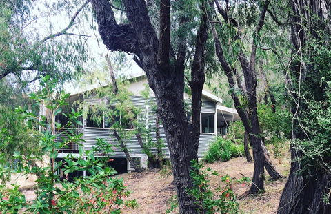 Kangaroo Hollow Preston Beach - Whitsundays Accommodation 8