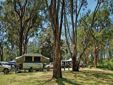 Korsmans Landing Campground And Picnic Area - Whitsundays Accommodation 4