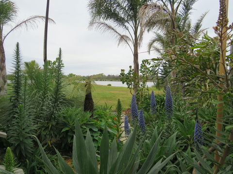 Lakes Waterfront Motel - Whitsundays Accommodation 5