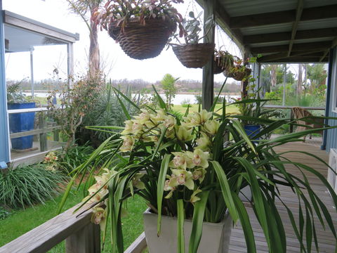 Lakes Waterfront Motel - Whitsundays Accommodation 6