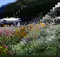 Millicent Showground RV Park