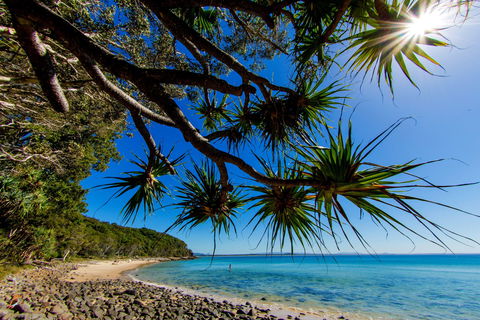 Noosa Caravan Park - Whitsundays Accommodation 2