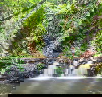O'Reilly's Rainforest Retreat - Whitsundays Accommodation