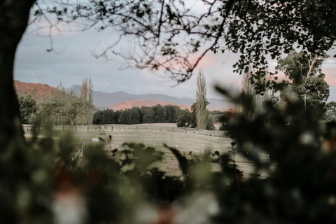 Russley Rural Retreat - Whitsundays Accommodation 3